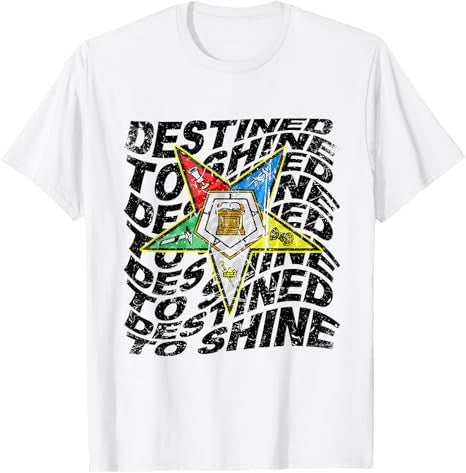 Retro Order Of The Eastern Star Shirt OES Shirt For Diva T-Shirt